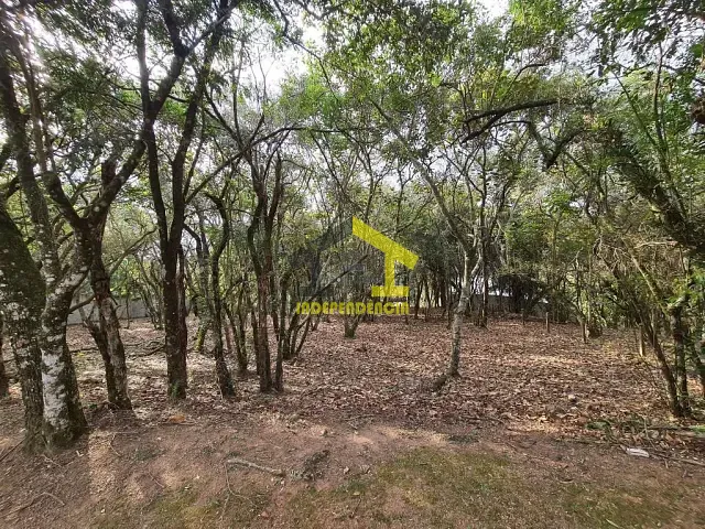 Terreno com 1575m², à venda, no bairro Parque Rincão em Cotia