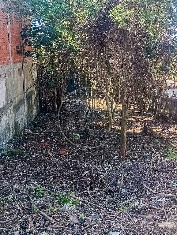 Terreno, 504 m² - Foto 1