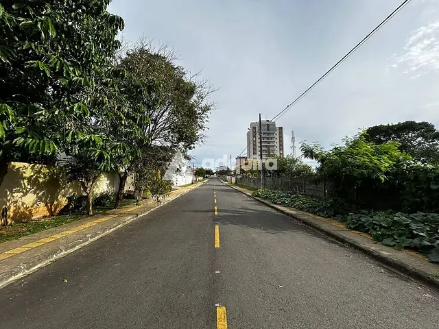 Terreno com 462m², à venda, no bairro Orfãs em Ponta Grossa