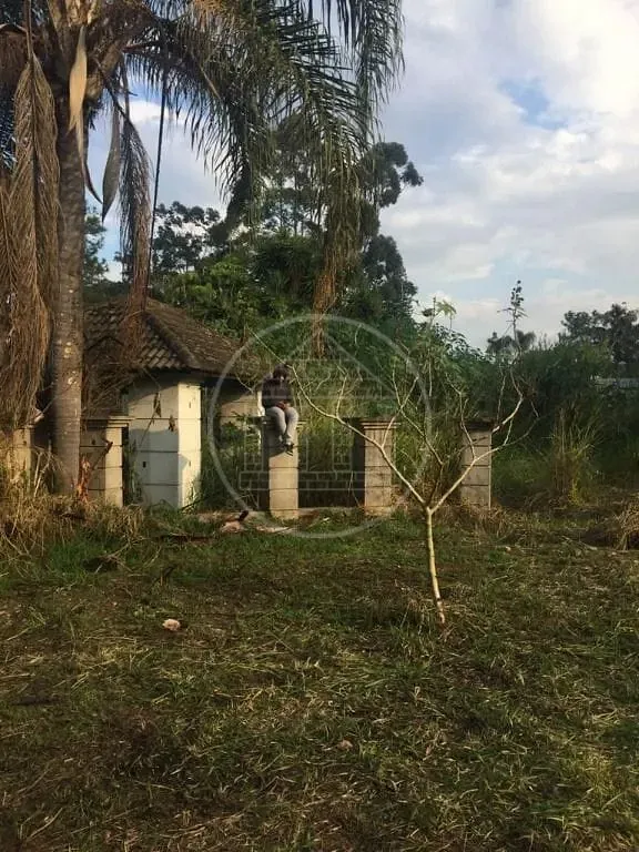 Terreno, 1000 m² - Foto 5