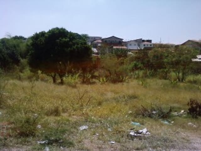 Foto do Terreno - Terreno residencial à venda, Jardim Europa, Sorocaba - TE2339. | Ary Proenca Negócios Imobiliários Ltda