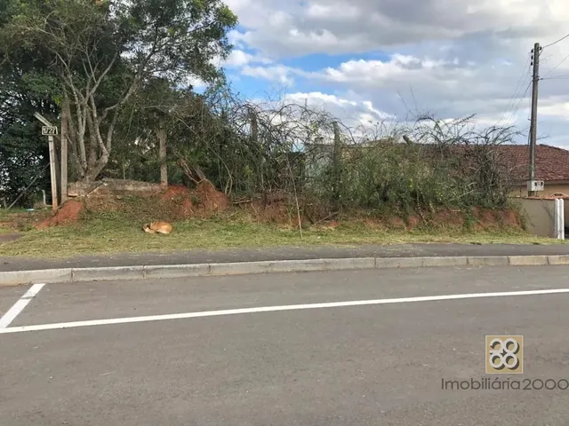 Terreno com 560m², à venda, no bairro Não informado em Campina Grande Do Sul