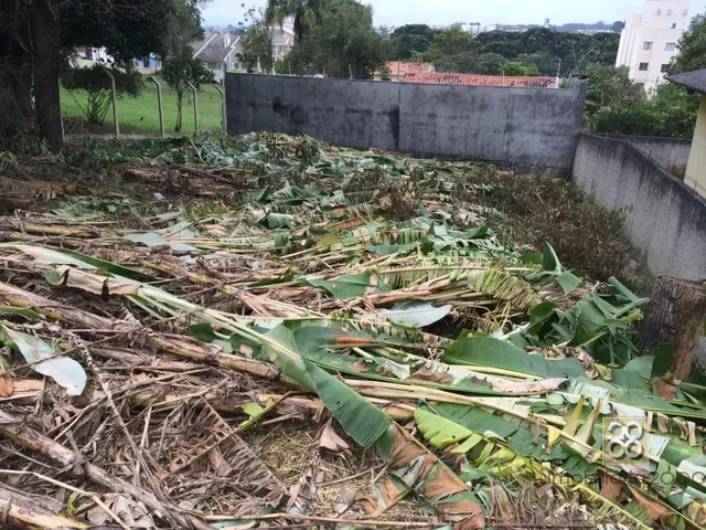Terreno com 560m², à venda, no bairro Não informado em Campina Grande Do Sul