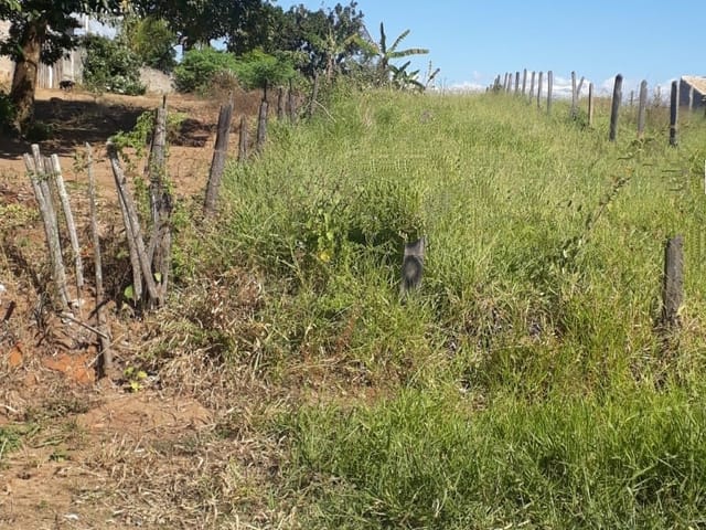 Terreno com 275m², à venda, no bairro Parque Shangrilá em Pindamonhangaba