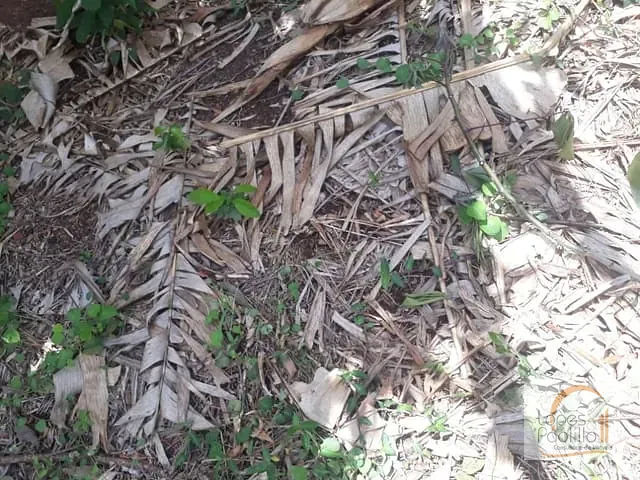 Terreno com 294m², à venda, no bairro Jardim Imperial em Atibaia