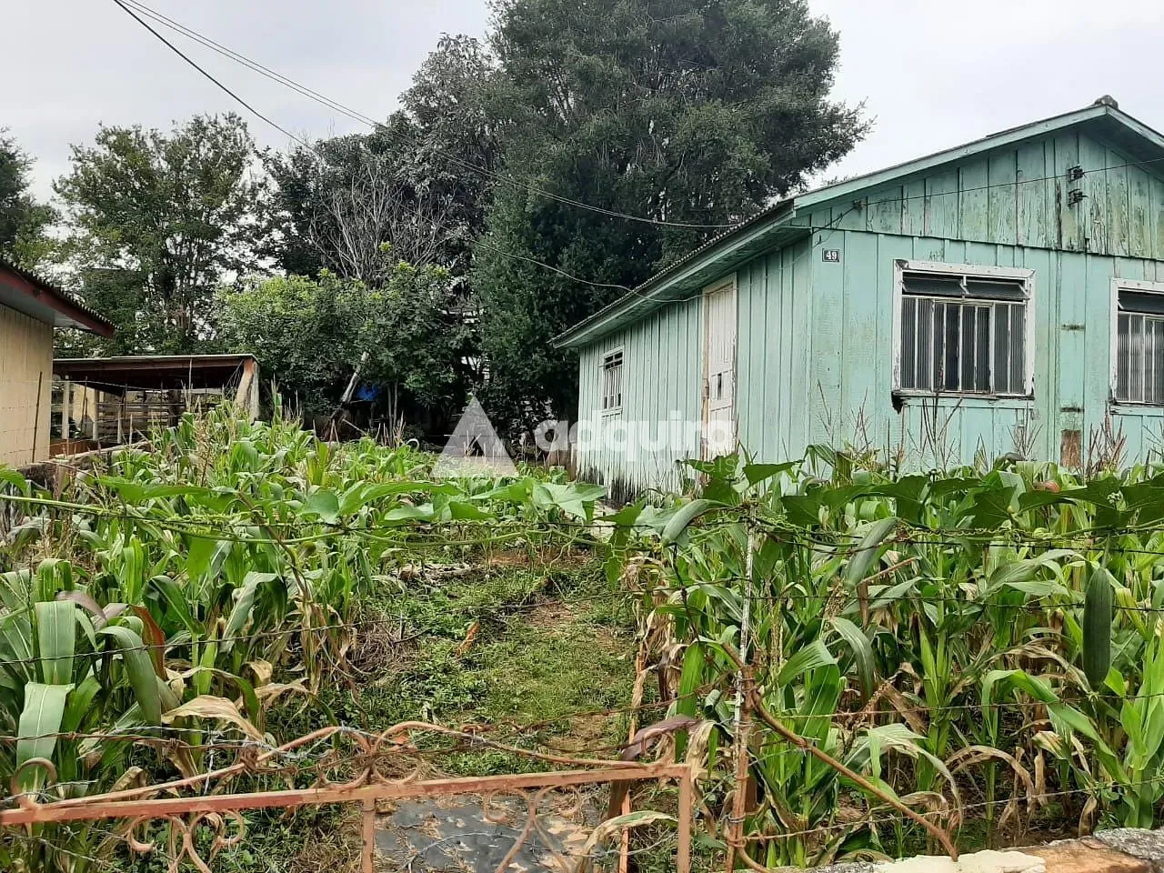 Terreno, 1366 m² - Foto 5