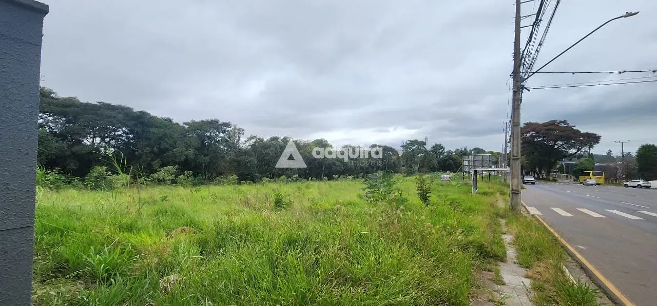 Terreno, 5590 m² - Foto 5
