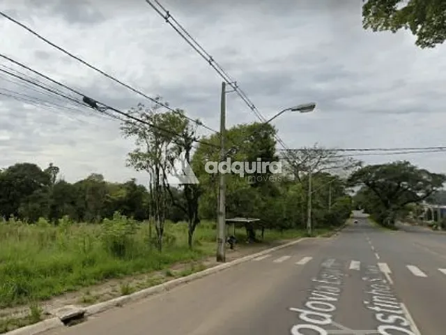 Terreno com 5590m², à venda, no bairro Colônia Dona Luíza em Ponta Grossa