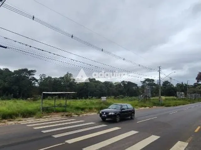 Terreno com 5590m², à venda, no bairro Colônia Dona Luíza em Ponta Grossa