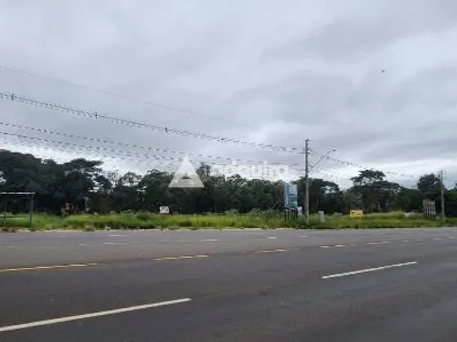 Terreno com 5590m², à venda, no bairro Colônia Dona Luíza em Ponta Grossa