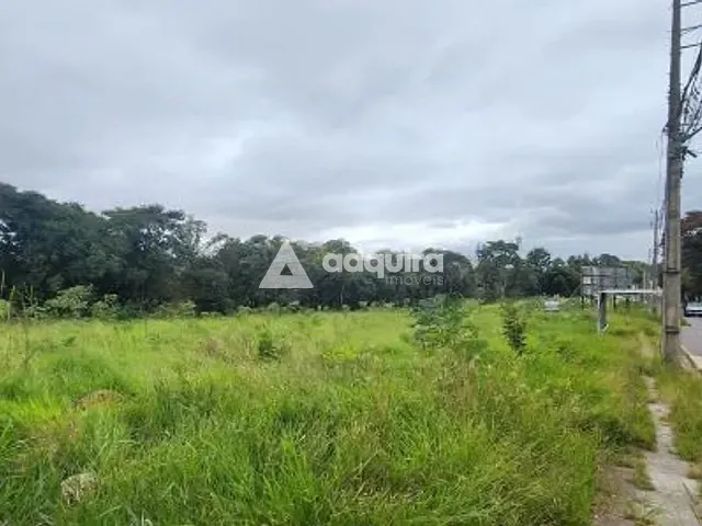 Terreno com 5590m², à venda, no bairro Colônia Dona Luíza em Ponta Grossa