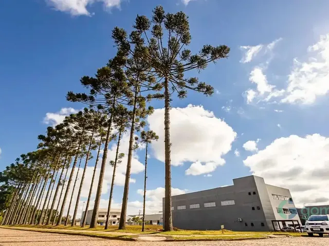Terreno com 1500m², à venda, no bairro Cidade Industrial em Curitiba