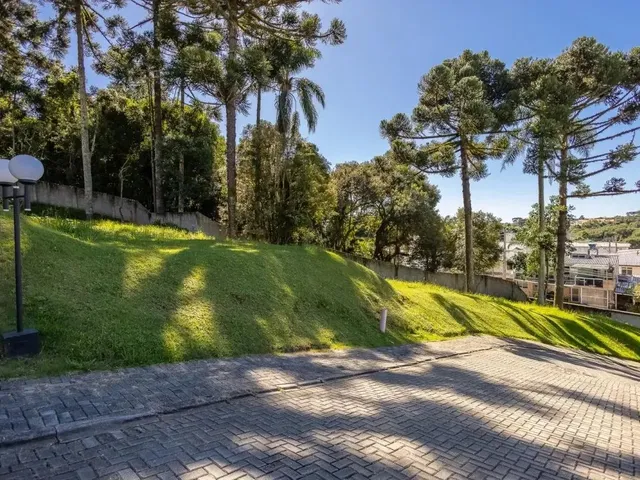 Terreno à venda, no bairro Campo Comprido em Curitiba
