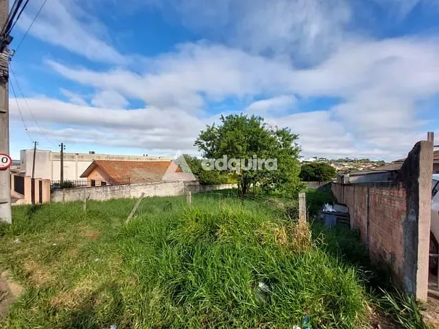 Terreno com 640m², à venda, no bairro Colônia Dona Luíza em Ponta Grossa
