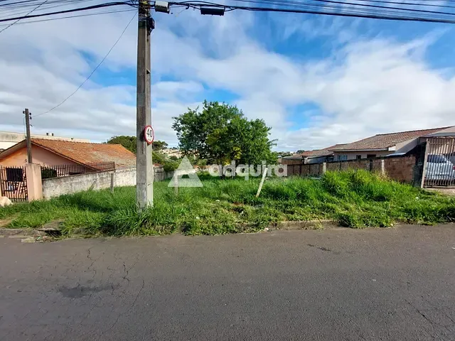 Terreno com 640m², à venda, no bairro Colônia Dona Luíza em Ponta Grossa