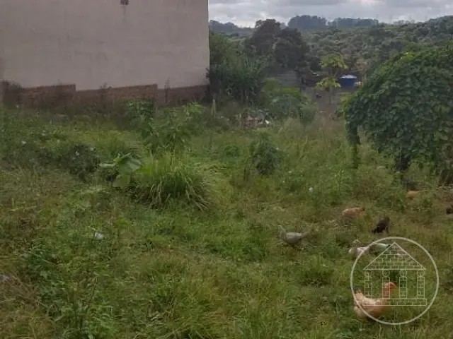 Terreno com 250m², à venda, no bairro Jardim Paulo Afonso em São Paulo