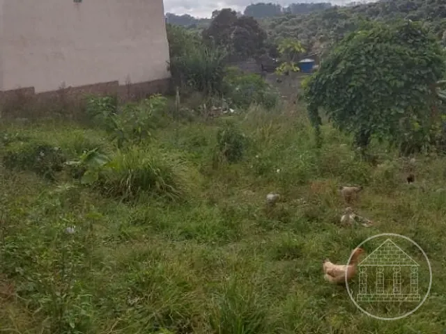 Terreno com 250m², à venda, no bairro Jardim Paulo Afonso em São Paulo