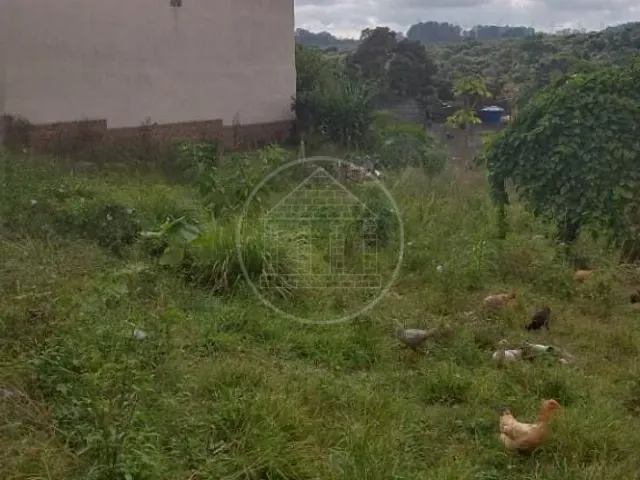 Terreno com 250m², à venda, no bairro Jardim Paulo Afonso em São Paulo