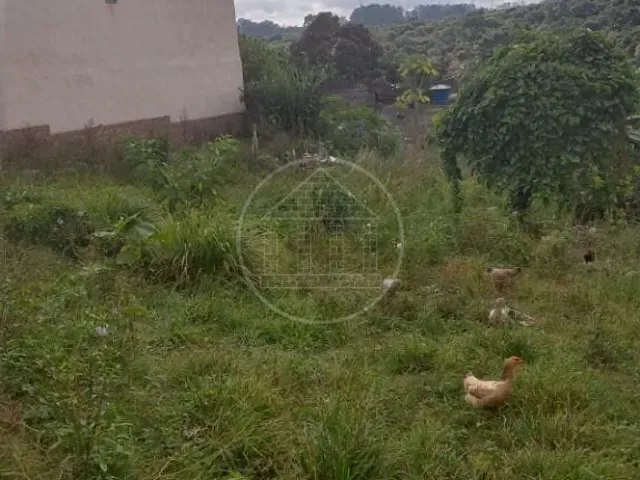 Terreno com 250m², à venda, no bairro Jardim Paulo Afonso em São Paulo