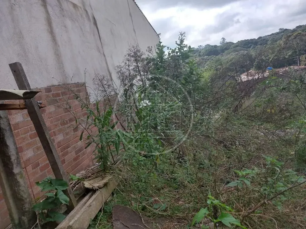 Terreno, 250 m² - Foto 12