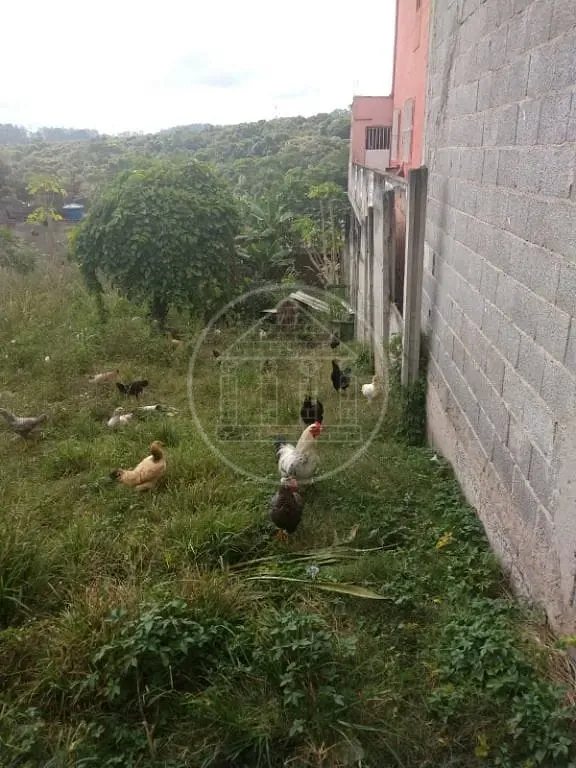 Terreno, 250 m² - Foto 15