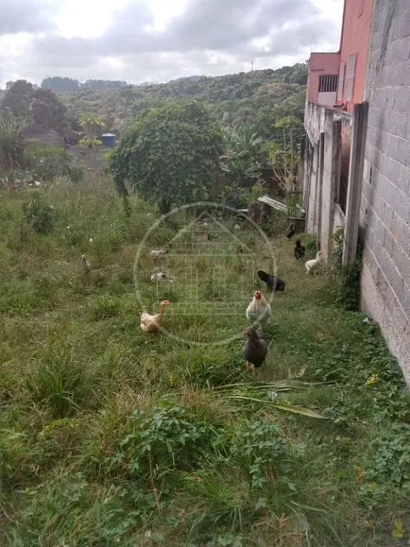 Terreno, 250 m² - Foto 6