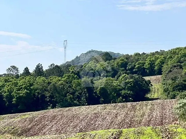 Terreno com 80000m², à venda, no bairro Interior em Estrela