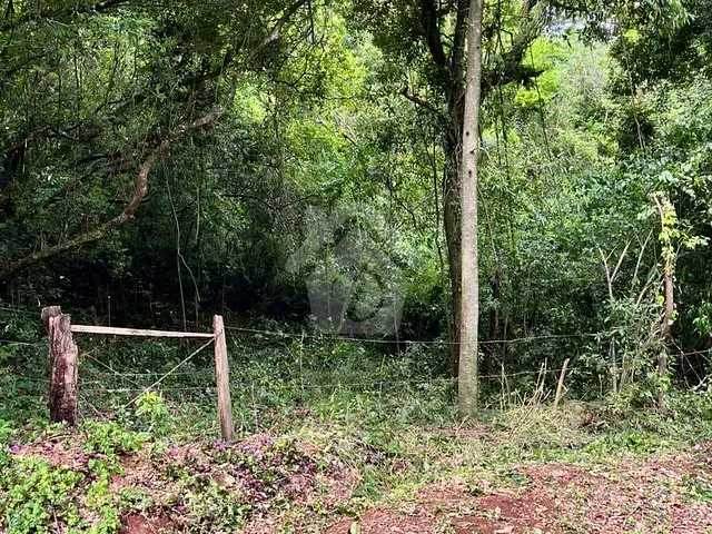 Terreno com 80000m², à venda, no bairro Interior em Estrela