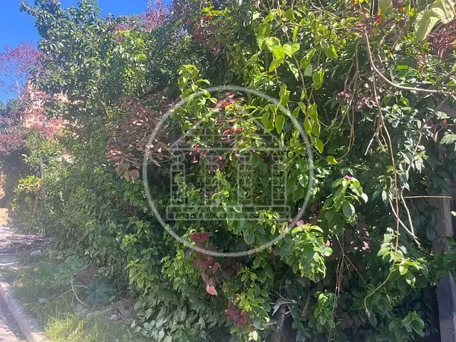 Terreno com 500m², à venda, no bairro Jardim Ellus em São Paulo