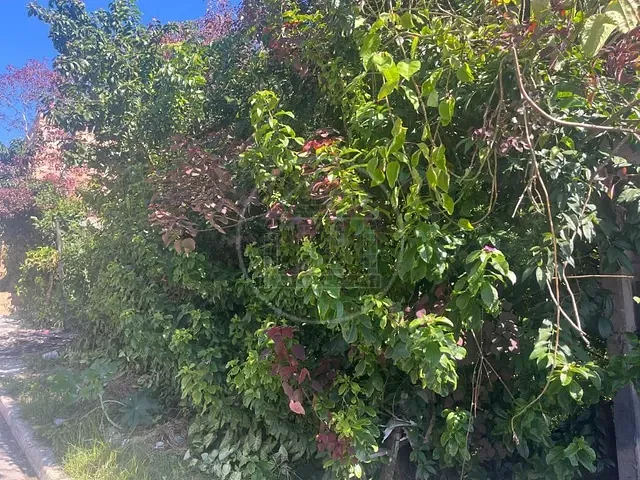 Terreno com 500m², à venda, no bairro Jardim Ellus em São Paulo