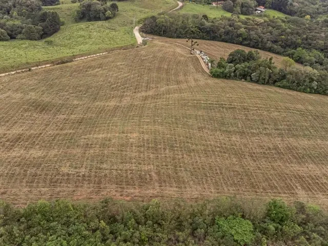 Terreno à venda, no bairro Ferraria em Campo Largo