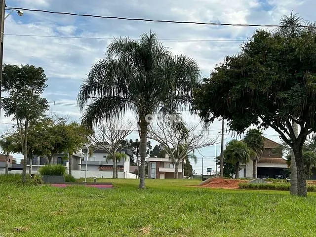 Terreno com 303m², à venda, no bairro Jardim Carvalho em Ponta Grossa