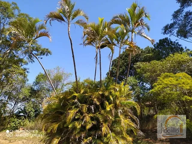 Terreno com 584m², à venda, no bairro Jardim Paraíso da Usina em Atibaia