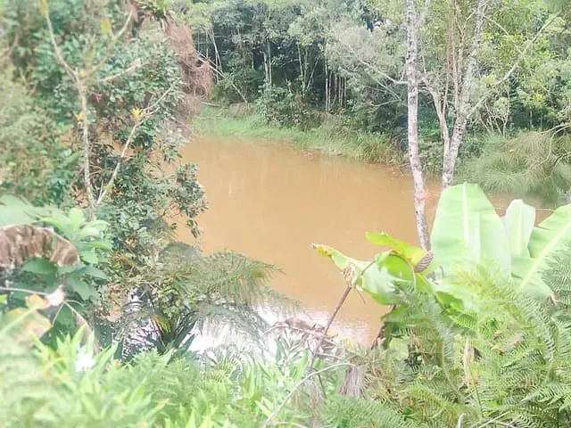 Terreno com 11635m², à venda, no bairro Jardim Eucaliptos em São Paulo