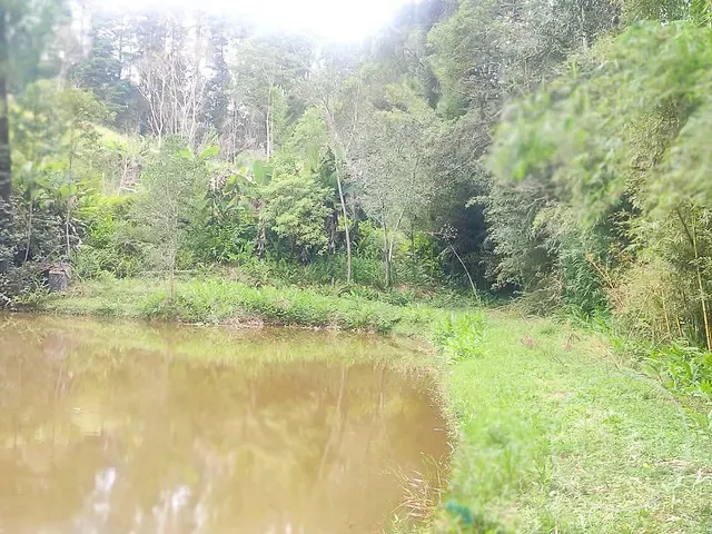 Terreno com 11635m², à venda, no bairro Jardim Eucaliptos em São Paulo