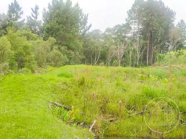 Terreno com 11635m², à venda, no bairro Jardim Eucaliptos em São Paulo