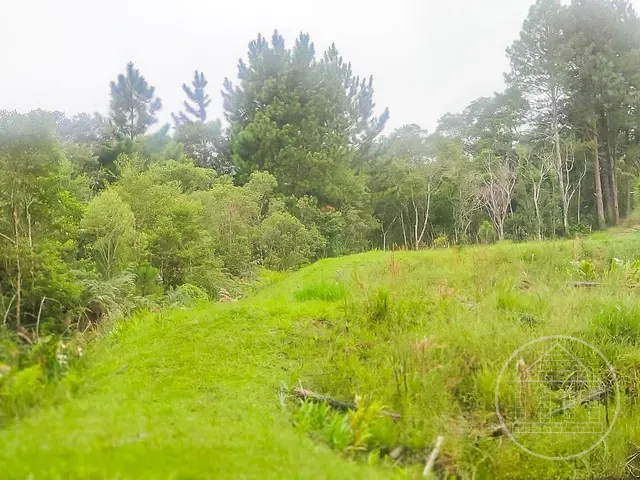 Terreno com 11635m², à venda, no bairro Jardim Eucaliptos em São Paulo