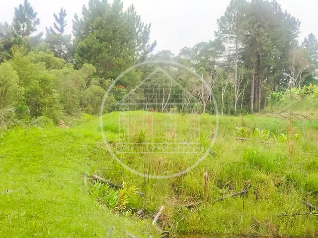 Terreno com 11635m², à venda, no bairro Jardim Eucaliptos em São Paulo