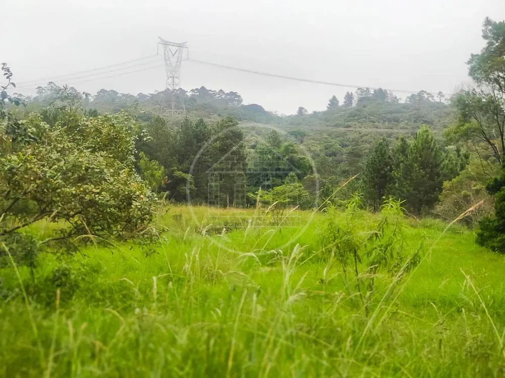 Terreno, 1 hectares - Foto 8