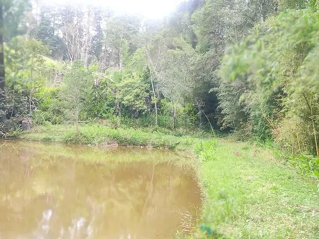 Terreno com 11635m², à venda, no bairro Jardim Eucaliptos em São Paulo