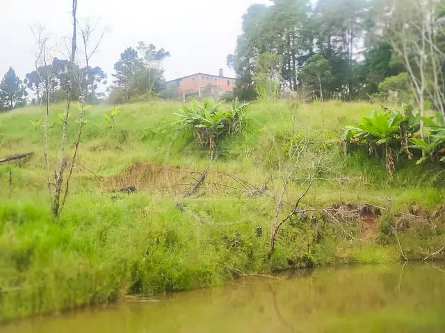 Terreno com 11635m², à venda, no bairro Jardim Eucaliptos em São Paulo