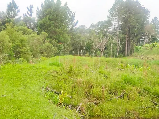 Terreno com 11635m², à venda, no bairro Jardim Eucaliptos em São Paulo