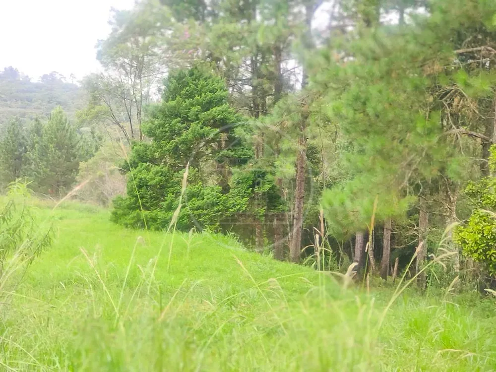 Terreno, 1 hectares - Foto 7