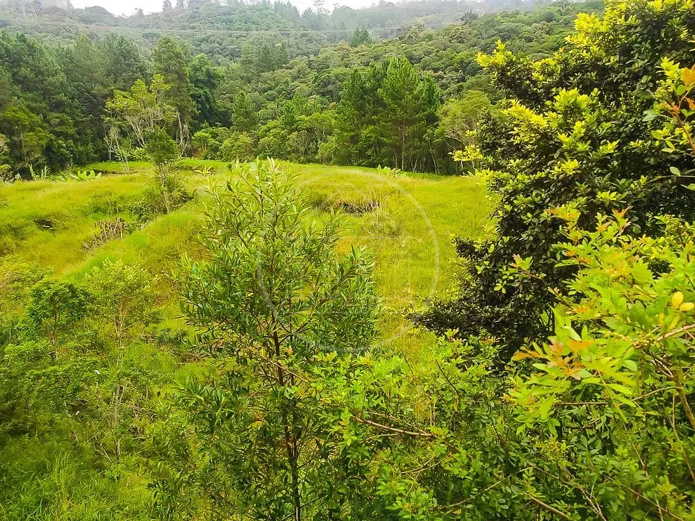 Terreno, 1 hectares - Foto 6