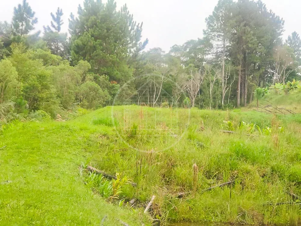Terreno, 1 hectares - Foto 2