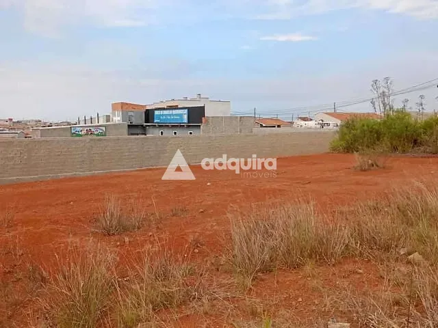 Terreno com 426m², à venda, no bairro Cará-cará em Ponta Grossa