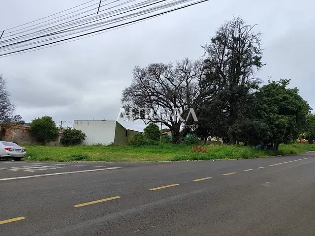 Terreno com 1027m², à venda, no bairro Conjunto Habitacional Maria Cecilia Serrano de Oliveira em Londrina
