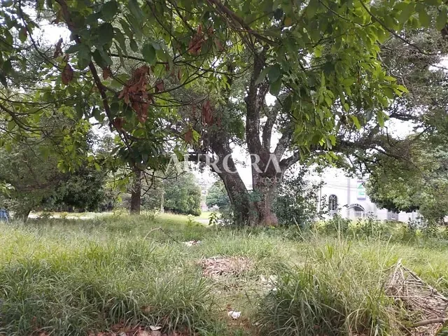 Terreno com 1027m², à venda, no bairro Conjunto Habitacional Maria Cecilia Serrano de Oliveira em Londrina