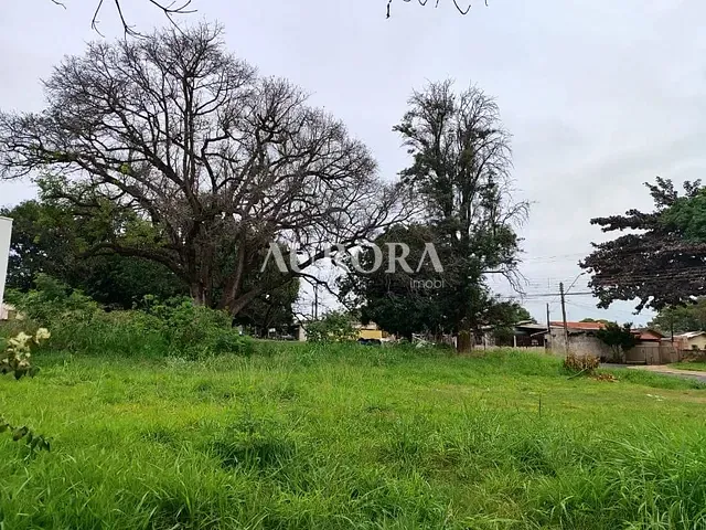 Terreno com 1027m², à venda, no bairro Conjunto Habitacional Maria Cecilia Serrano de Oliveira em Londrina
