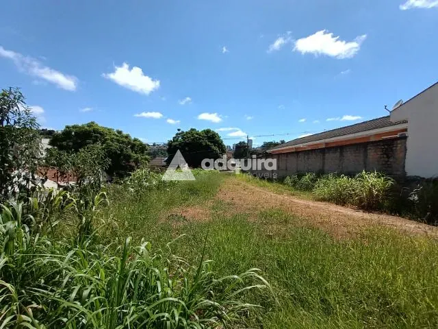 Terreno com 545m², à venda, no bairro Estrela em Ponta Grossa